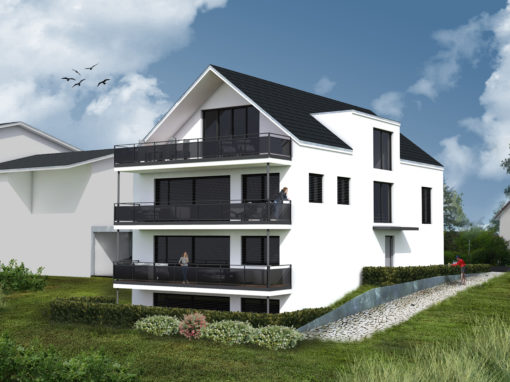 2023 Neubau in Radolfzell-Böhringen mit Blick ins Grüne